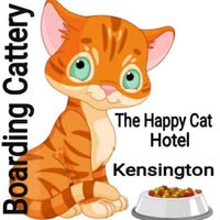 Masseuse Happy Cat Hotel Kensington Johannesburg