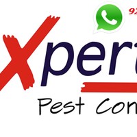 Masseuse Xpert Pest Control Masseuse Xpert Pest Control