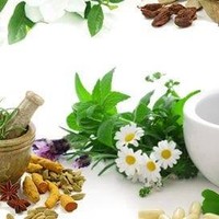 Masseuse Herbal Home Masseuse Herbal Home