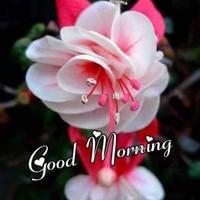 Masseuse Dipak Dipak Masseuse Dipak Dipak
