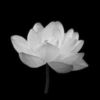 Masseuse Tú Đinh Masseuse Tú Đinh
